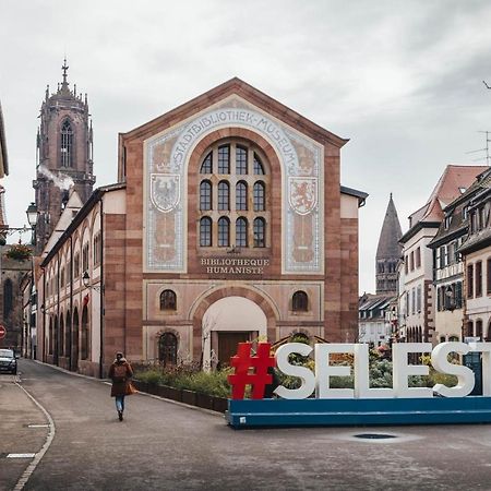 Confortable Appartement Au Centre De Selestat Luaran gambar