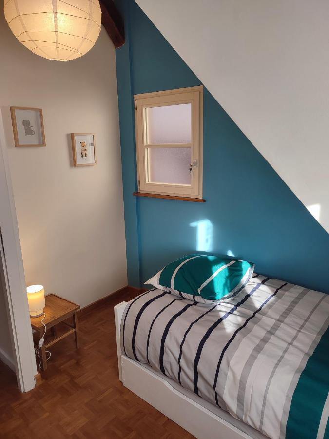 Confortable Appartement Au Centre De Selestat Luaran gambar